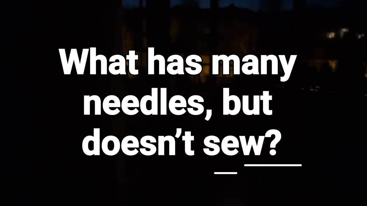 What has many needles, but doesn’t sew?