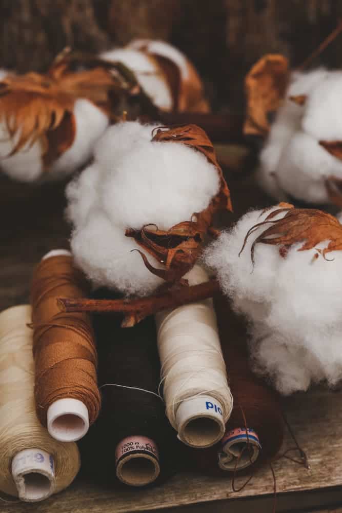 How To Sew Fake Fur With Ease? A Comprehensive Guide 4 cotton flowers wooden table